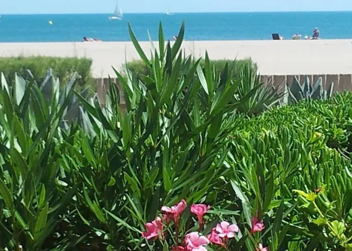 Cros Et Piscine * Saint-Pierre-la-Mer (Aude)