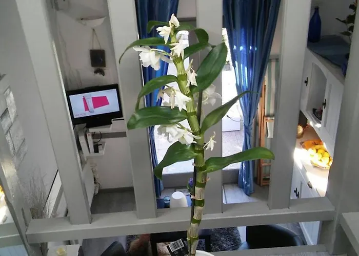 Tatil Evi Cros Et Piscine *