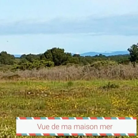 Cros Et Piscine Saint-Pierre-la-Mer (Aude)